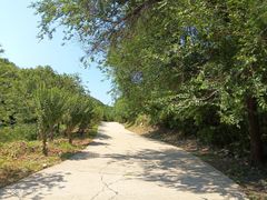 -原山国家森林公园