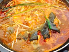 酸汤鱼-弘烨 贵州酸汤 鱼火锅(东财店)
