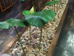 -素心斋素食餐厅