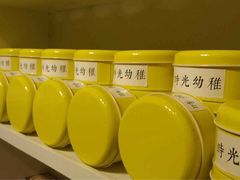 时光幼稚-时光幼稚