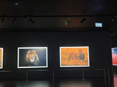 -罗红摄影艺术馆