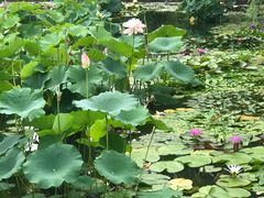 -国家植物园南园