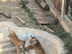 -昆明动物园