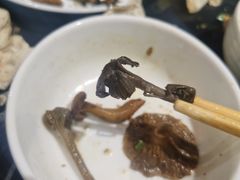-野菌皇海景野生菌火锅(滨海大道店)