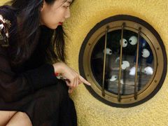 -三鹰之森吉卜力美术馆