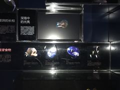 -同济大学四平路校区深海探索馆