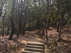 -峙山公园