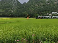 -万峰林风景区