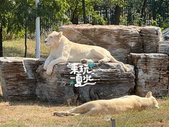 -秦皇岛野生动物园