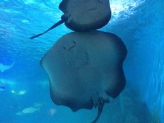 -常州海昌海洋探索馆