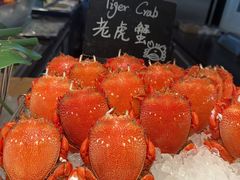 -Social 秀西餐厅-长沙瑞吉酒店(运达店)