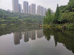 -重庆彩云湖湿地公园