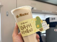 -猫的魔法密林(衣裳街店)