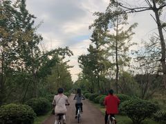 -白鹭湾湿地公园