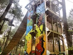 -铁山坪森林公园