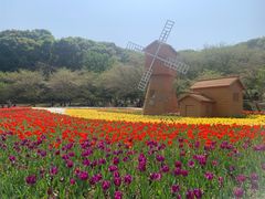 -苏州上方山国家森林公园