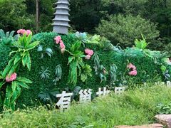 -巢湖姥山岛