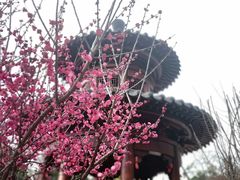 -宝通禅寺