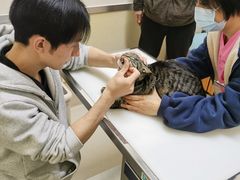 -爱妮康宠物医院·干细胞免疫细胞·肿瘤·心脏(张江店)