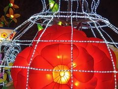 -长春市南湖公园