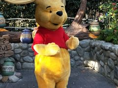 -加州迪士尼乐园
