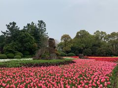 -上海鲜花港