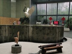 -楼观道温泉酒店