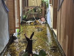 -邈墨茶馆(凤起路店)