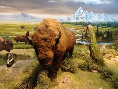 -陕西自然博物馆