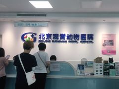 -北京观赏动物医院·24小时大型综合·猫专科·异宠专科