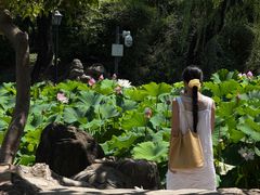 -莲湖公园
