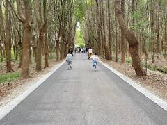 -同里国家湿地公园