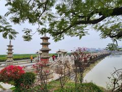 -洛阳桥