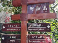 -野狸岛