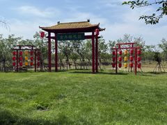 -金卉庄园