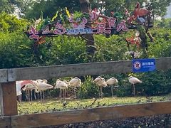 -广州长隆飞鸟乐园