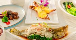 -弗蕾亚·和月月子调理院(东湖店)