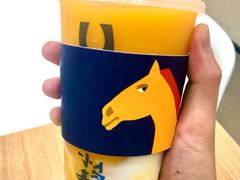 芒果卡士-春丽小马(济南恒隆广场店)