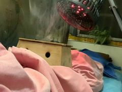 -手功夫·月明中医诊所·正骨推拿艾灸