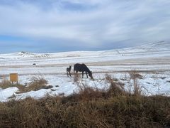 -北极村旅游风景区