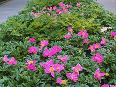 -木塔寺遗址生态公园