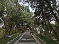 -子昂故里文化旅游区