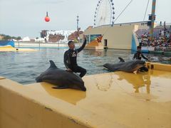 -秦皇岛乐岛海洋王国