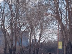 -长春公园(普阳街道)