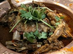 -友乐居羊蝎子(西直门店)