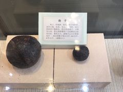 -闽粤南澳总镇府