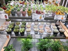 -鹿岛生活(熙地港店)