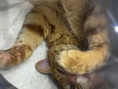 -拜鲁耶动物诊疗中心·宠家动物医院