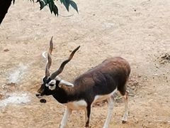 -昆明动物园