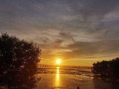 -宝安西湾红树林湿地公园